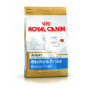 Bichon Frisé Adulte