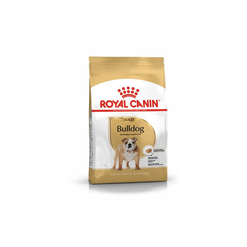 Bulldog Anglais 