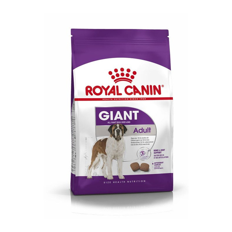 Dog Giant Adult