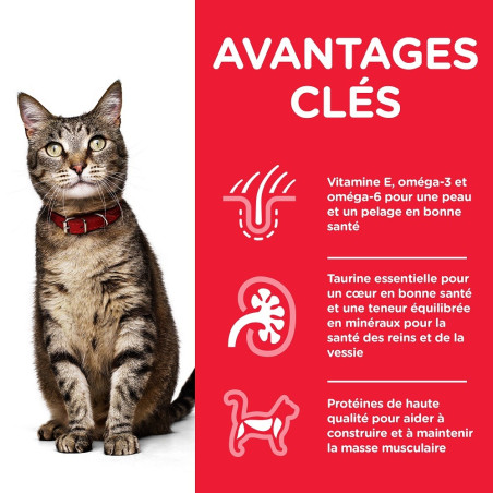 Feline Adult Pack mixte Feline Adult Pack mixte