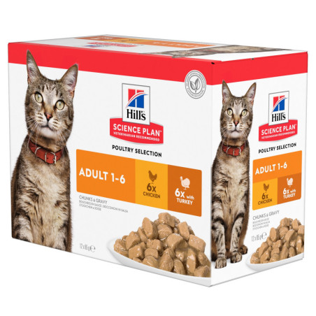 Feline Adult Pack mixte Feline Adult Pack mixte