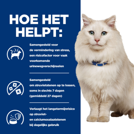 Feline CD stress Feline CD stress