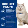 Feline CD stress Feline CD stress