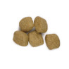 Canine t/d Canine t/d