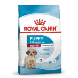 Puppy medium