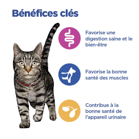 Vetessentials Feline Adult Multi Benefit Poulet Vetessentials Feline Adult Multi Benefit Poulet