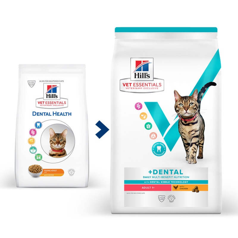 Dental Health Feline Young Adult Poulet