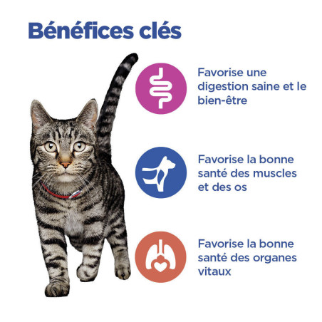 Feline Multi-Benefit Adult Poulet Feline Multi-Benefit Adult Poulet