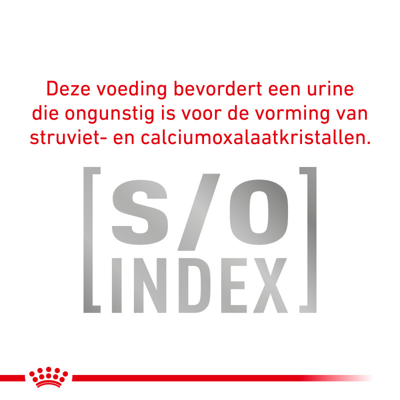 Dog Sensitivity Control Canard