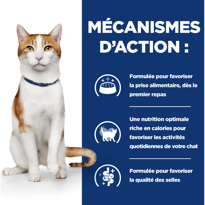 On care boîtes