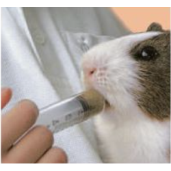 Critical Care Spuit 10 ml +...