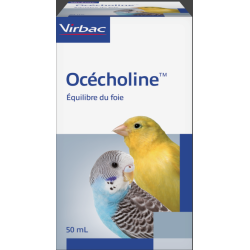 Océcholine -  vogel