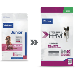 Dog Junior Medium