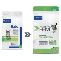 Cat Kitten Pre Neutered