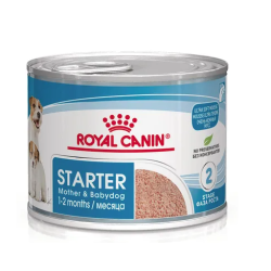 Starter mousse Mother &...