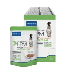 Adult Neutered Cat Saumon...