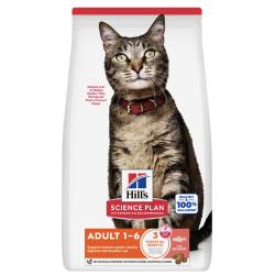 Feline Adult Saumon