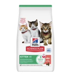 Feline Kitten Saumon