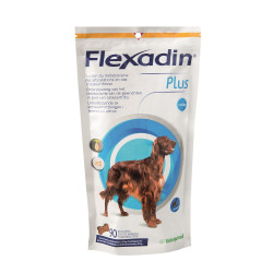 Flexadin Plus Maxi
