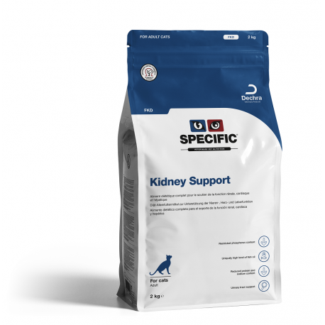 Chat FKD Kidney Support