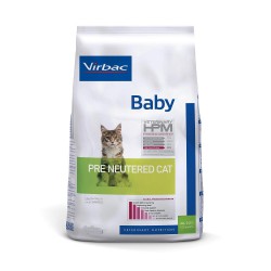 Baby Pre Neutered Cat
