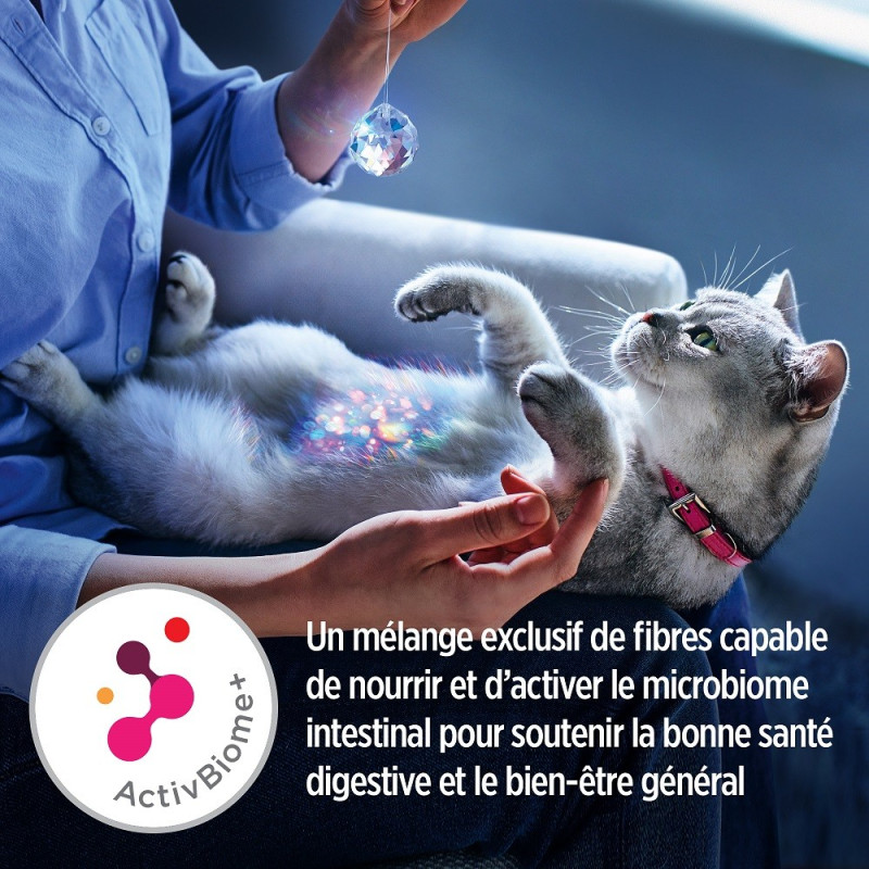 Feline Gastrointestinal Biome