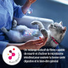 Kat Gastro-intestinaal biome Stoofpotje Kip & Groenten Kat Gastro-intestinaal biome Stoofpotje Kip & Groenten