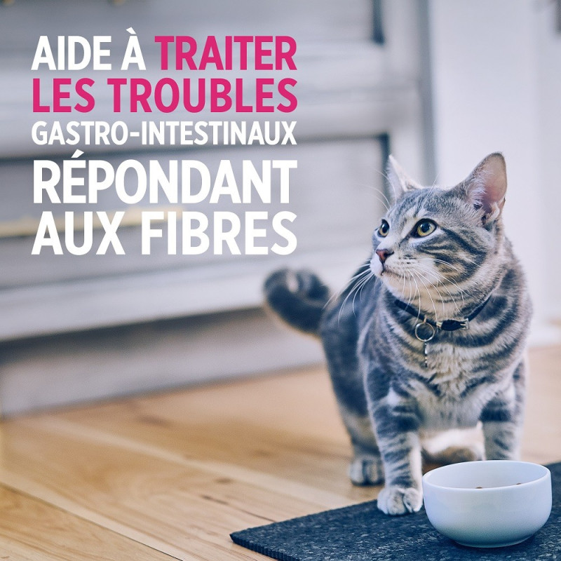 Feline Gastrointestinal Biome