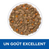 Kat Gastro-intestinaal biome Stoofpotje Kip & Groenten Kat Gastro-intestinaal biome Stoofpotje Kip & Groenten