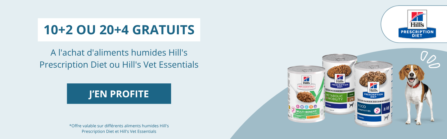 HILL'S Juin bann desk