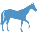 Category horse
